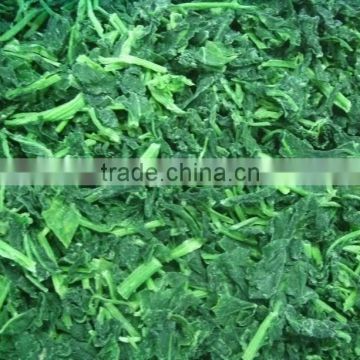 IQF frozen chopped spinach/BQF spinach cut/iqf vegetables