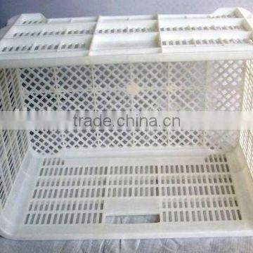 plastic fruit crate for apples