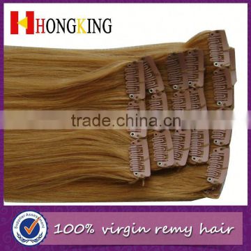 Brazilian Remy Human Clip In Hair Extension For EU