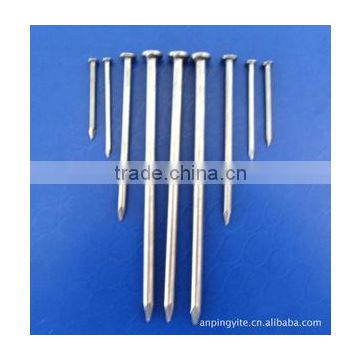 1/2" common round wire nails low price