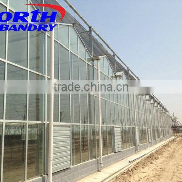 Modular garden greenhouse offered by professional factory