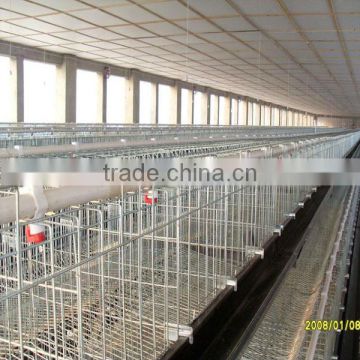 Manufacture cheap chicken cage poultry cage A type chicken cage