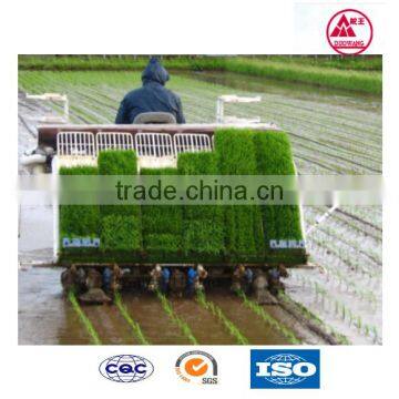 8rows rice transplanter with cheap price kubota rice transplanter for sale