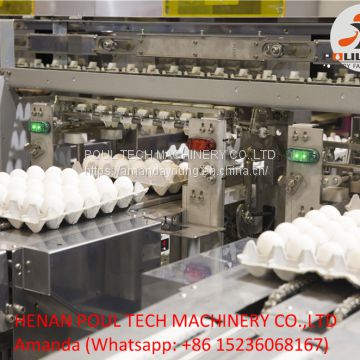Poultry Farming Automatic Chicken Egg Grading Machine for Sale