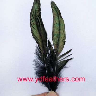Black Rooster/Cock/Coque Schlappens Feather for Wholesale from China