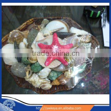 20cm round shape seashell crafts SeaShell Baskets with starfish