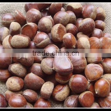 Sell 2014 Fresh Chestnut from China , Factory Supplier