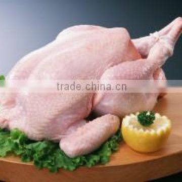 Whole Frozen Chicken Fresh and Halal