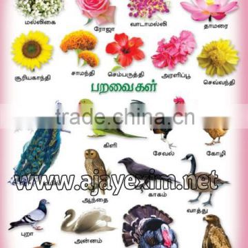 Flowers & Birds in Tamil Poster