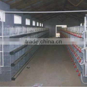 Hot selling Africa chicken cage for sale automatic chicken layer cage for sale in philippines
