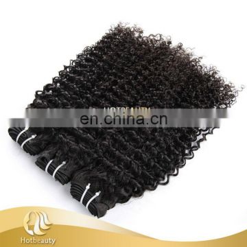 Virgin Remy Hot Sale Kinky Curl Human Hair Crochet Hair Extension