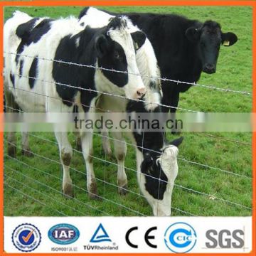 Wholesale goat sheep cattle fencing cheap farm fence designs field fence supplier(Hot Sale)