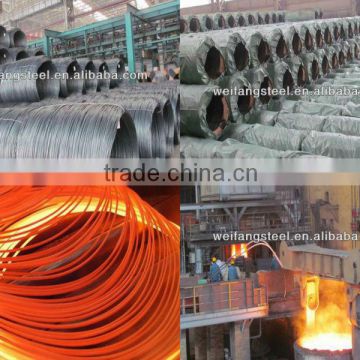 Hot rolled wire rod coil for steel cord
