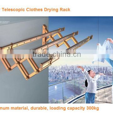 High Quality Laundry Outdoor Telescopic Wall Mounted Clothes Dryer
