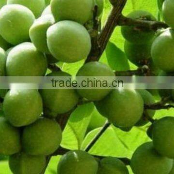 Premium Quality Soapnut Shell At Your Door Step