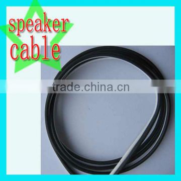 White and black speaker cable