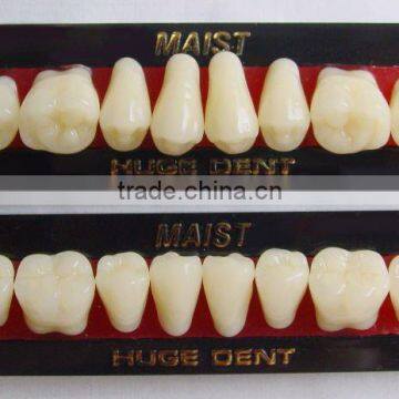 dental device acrylic teeth MAIST Z2-Dental