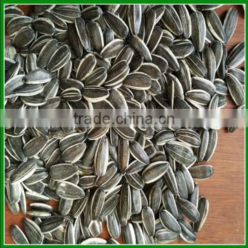 Bulk 5009 Raw Or Roasted Sunflower Seeds With Great Taste For Human Eating