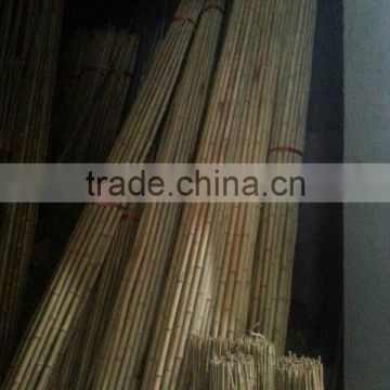 ZENT -27 white bamboo pole /bamboo stake /moso bamboo /bamboo cane