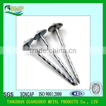 iron material and roofing nails type cheap and high quality zinc galvanized nails