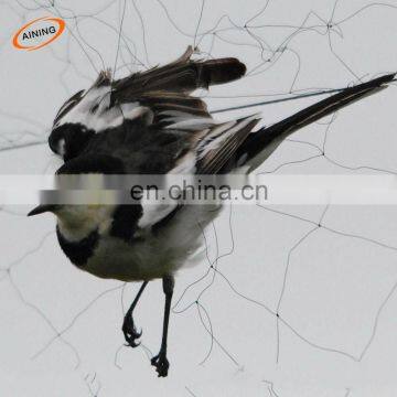 2.5x6m Agricultural Orchard Protect Nylon net traps for bird Prevent Bird Damage