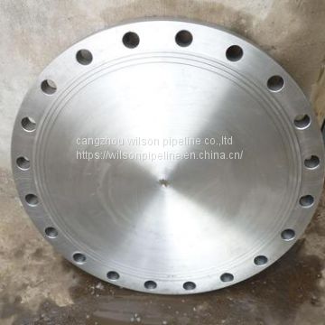 DIN 2643 forged cs and ss plate flange