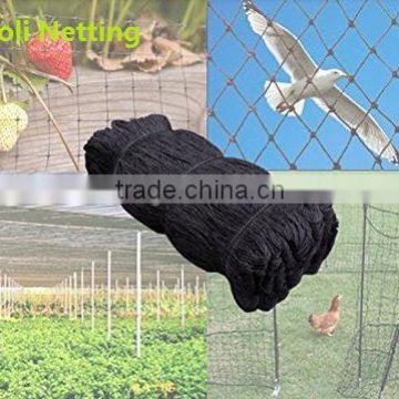 Anti-Bird net,agriculture net, agriculture netting