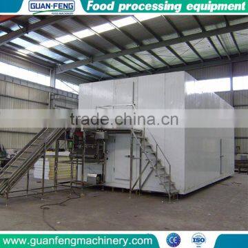 refrigeration system iqf quick freezing machine