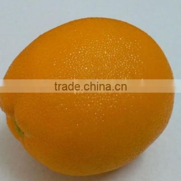Big Artificial Orange Fake Faux Fruits and Vegetables
