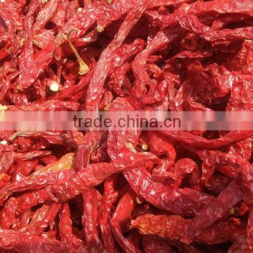 Byadagi red chilli stemless