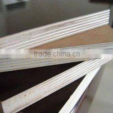 linyi factory film face plywood export to dubai,kuwait,saudi,africa market