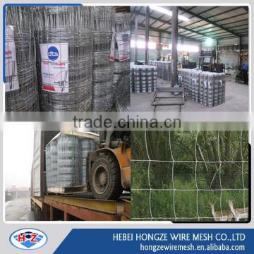 cow fence /cattle fence / grassland wire mesh from factory