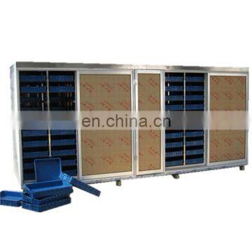 Electric Commercial bean sprout process plant machine / Bean sprout processing line
