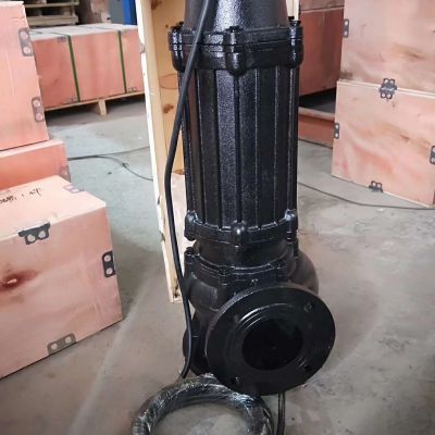 Wq Auto Coupling Centrifugal Waste Water Sewage Submersible Pump
