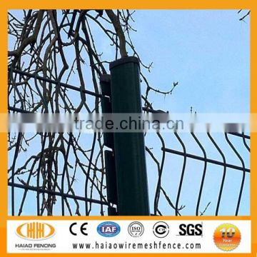 Hot-dipped galvanized children garden fencing(made in china)