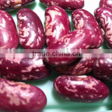 Chinese Purple Speckled Kidney Bean( 2011 crop, Heilongjiang Origin, Hps)