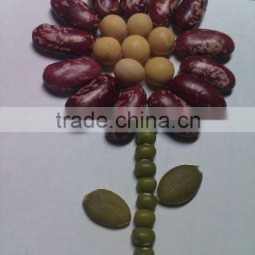 Purple Speckled Kidney Bean( 2010 crop, Heilongjiang Origin, Hps)