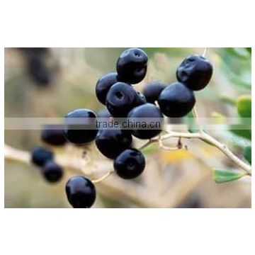 wild organic black goji berry