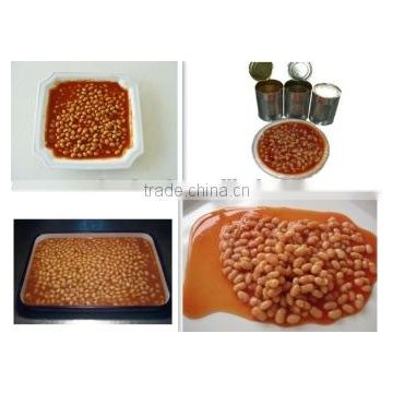Tasty canned white kidney beans in tomato sauce 400GX24TIN/CTNS