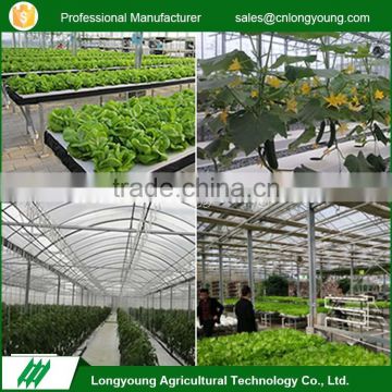 Hot sell commercial used hydroponics greenhouses systems