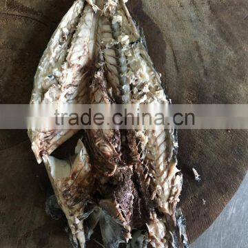 seafrozen pacific mackerel from China