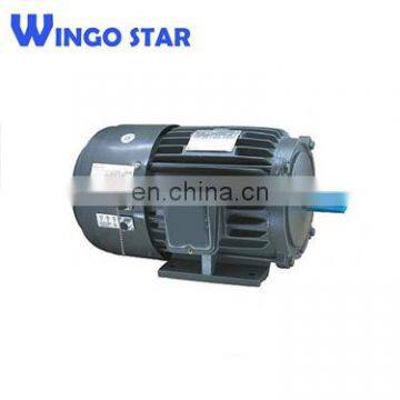 vertical mount electric motor