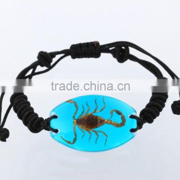 Ambor souvenir-original insect amber-insect bracelet