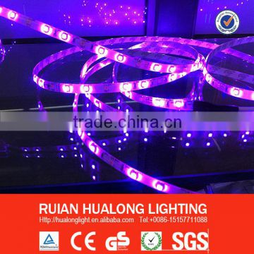 HL Holiday 12V LED Strips RGB