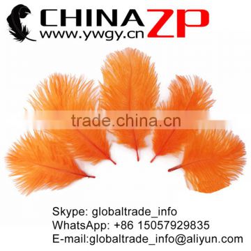 ZPDECOR No.1 Supplier in China Factory Exporting from 6 inch to 8 inch Length Dyed Orange Ostrich FeathersPlumage for Sale