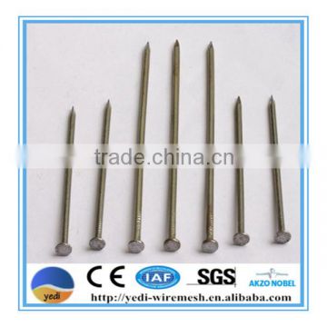 professional round common nails supplier