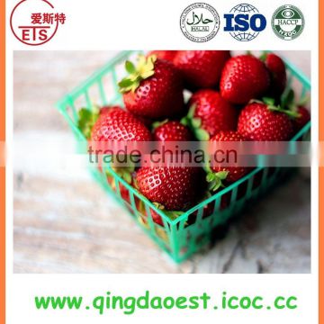2016 high quality new crop fresh strawberry for sale