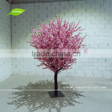 GNW BLS1503001 Small pink indoor peach blossom tree for decoration