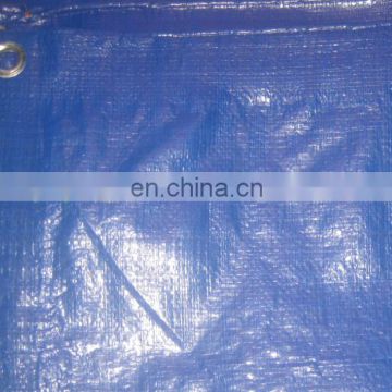 PE double blue polyethylene laminated sheet