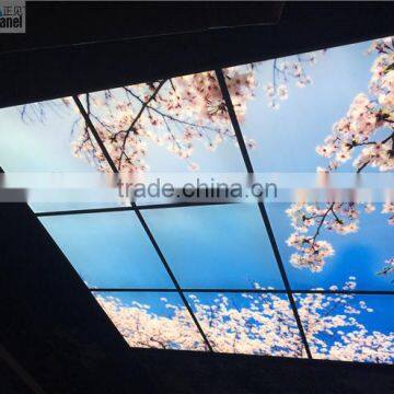 2015 Japanese style sakura sky ceiling panel